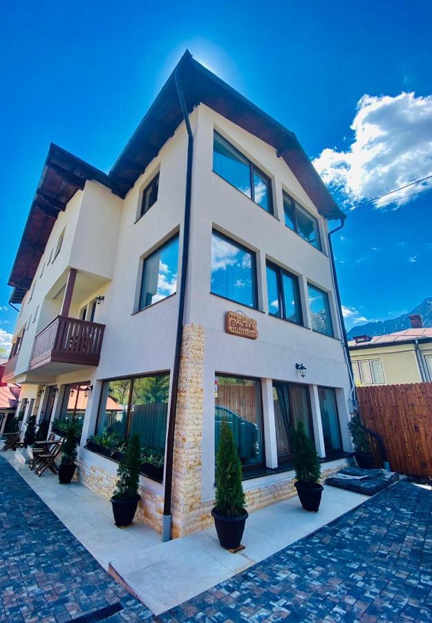 Bed and Breakfast Casa Ankeli Buşteni Exterior foto